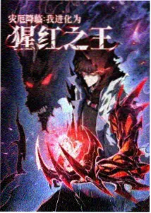 数码宝贝
